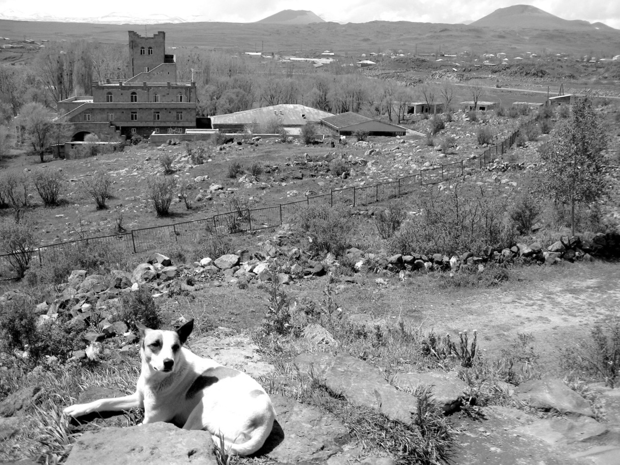 Autoausflug Foto: Autoausflug. Aus: Eriwan. Kapitel 3. Aufzeichnungen aus Armenien von Marc Degens.