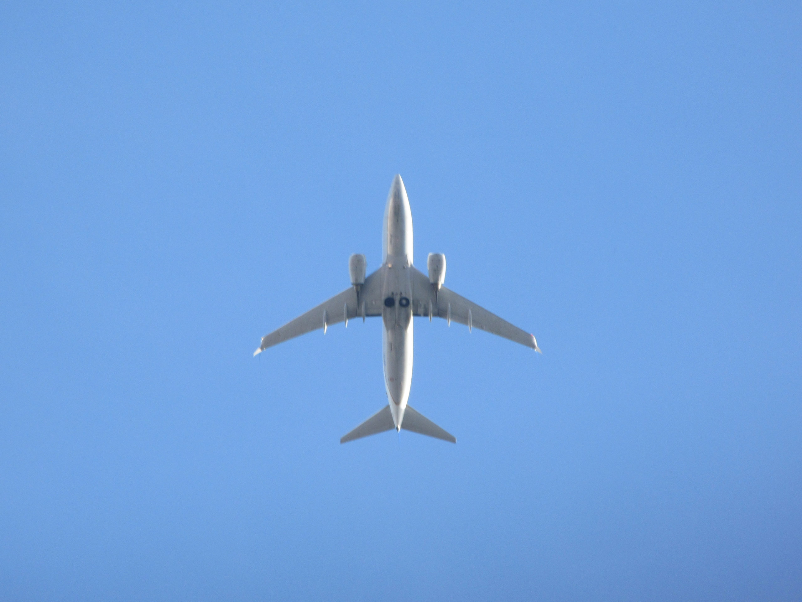 degens.plane scaled