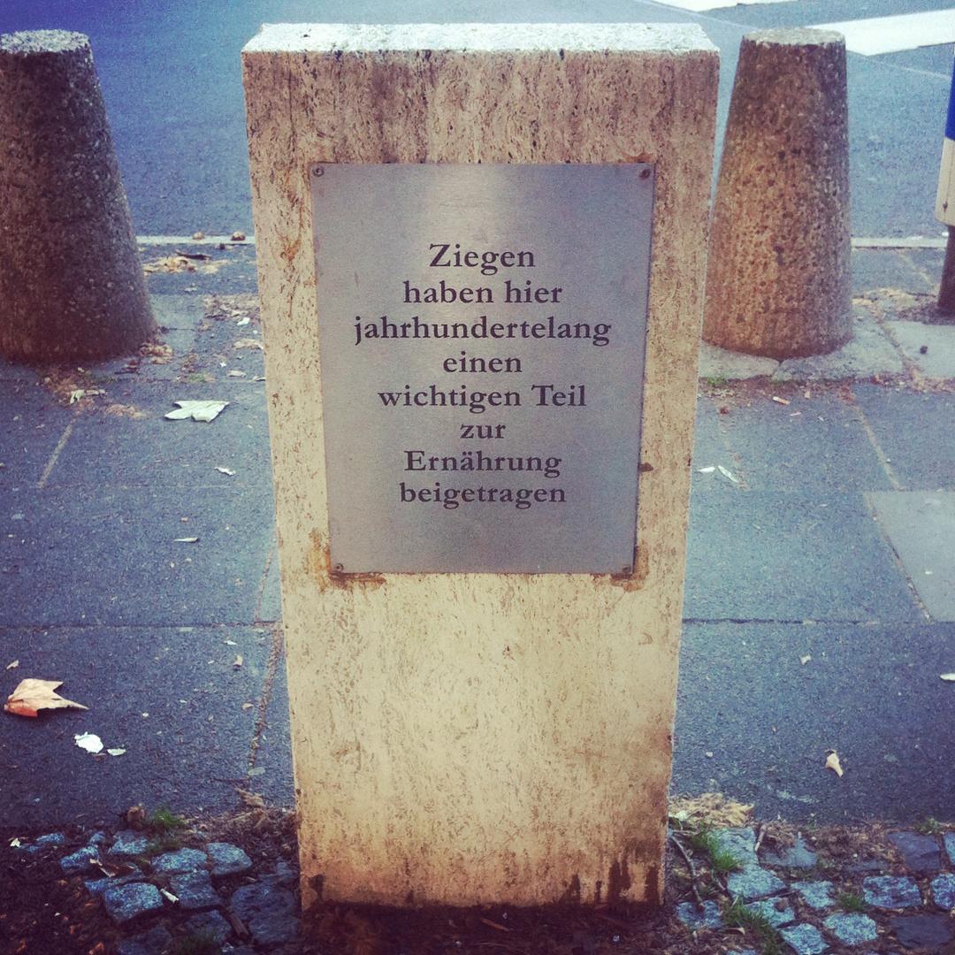 degens.ziegen