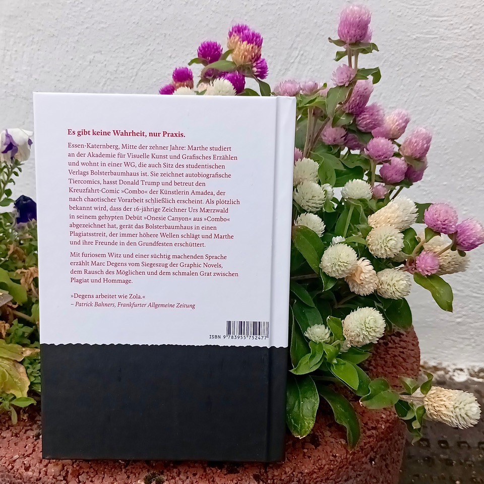 marc.degens.verfuehrung.der .unschuldigen.backcover